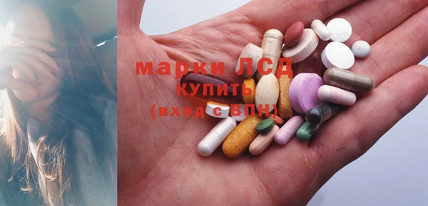 ГАЛЛЮЦИНОГЕННЫЕ ГРИБЫ Алексин
