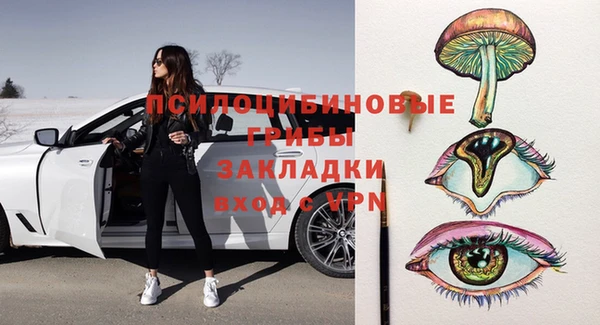 ГАЛЛЮЦИНОГЕННЫЕ ГРИБЫ Алексин